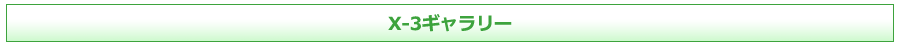 X-3�M�������[