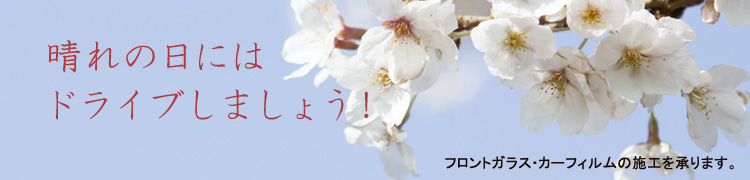 �t�����g�K���X�J�[�t�B�����L�����y�[��