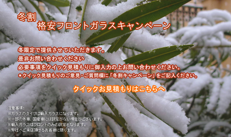 �Č���t�����g�K���X�i���L�����y�[��