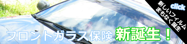 �t�����g�K���X�ی��\��