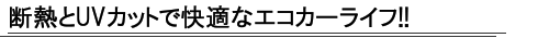 fMUVJbgŁAKȃGRJ[CtIiN[x[j